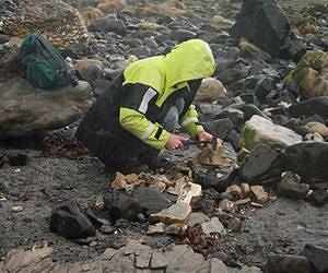 Seeking a Pot of Geological Gold