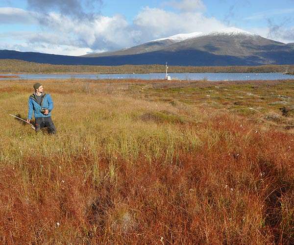 Swedish court agrees to hear climate lawsuit against state