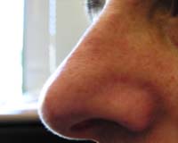 Humans' built-in GPS is our 3-D sense of smell