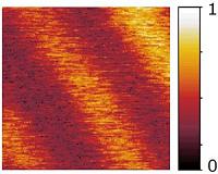 Camera for the nano-cosmos