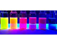 New fluorescent dyes could advance biological imaging