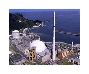 Brazil nuclear plants may close as floods kill 68