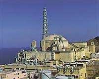 Japan to abandon troubled fast breeder reactor: report