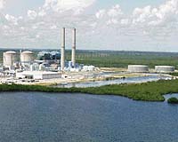 Reactors still down after massive Florida power outage: officials