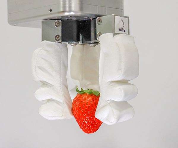 NUS engineers bring a soft touch to commercial robotics