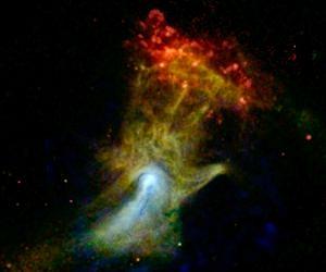 Dead Star and Distant Black Holes Dazzle in X-Rays