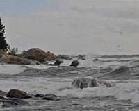 Ocean toxicity hampered the rapid evolution of complex life
