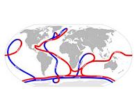 A new pathway for heat transport in the ocean