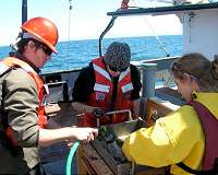 Surveying sea floor animals for offshore renewable energy