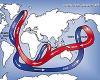 Surprising New Pathway For North Atlantic Circulation