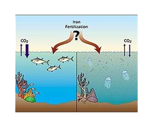 Ocean Fertilization: Summary For Policymakers