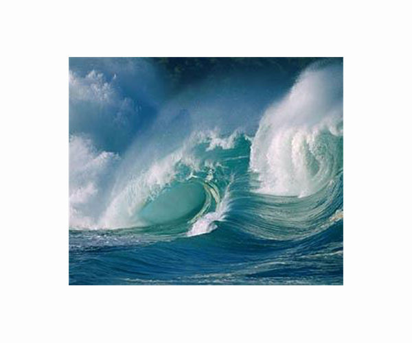 Wave kills four in Spain's Tenerife