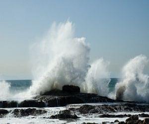 Rating of ocean health shows 'room for improvement'