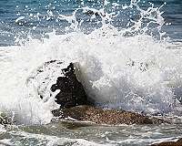 Iron dissolved by air pollution may increase ocean potential to trap carbon