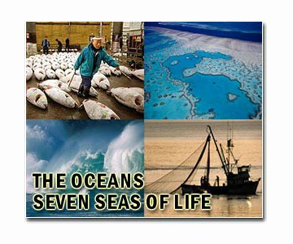FAU receives DOE grant to explore offshore ocean current energy near Palm Beach