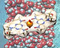 Bio-inspired material targets oceans' uranium stores for sustainable nuclear energy