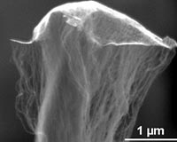 Rice Scientists Use Nanomaterials To Grow Flying Carpets