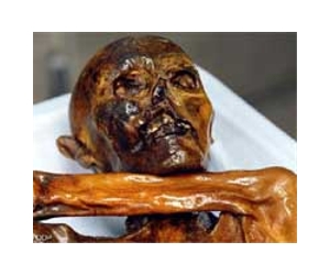 Iceman mummy yields oldest blood seen