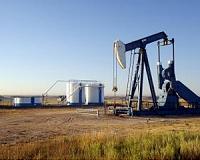 Senate leaders call to review oil export ban