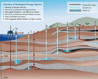 New Research Shows How Oil Gets Stuck Underground