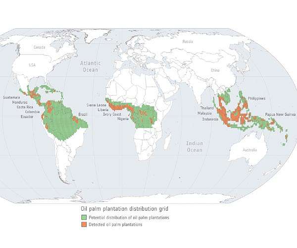 Tracking agricultural-related deforestation