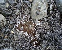 Exxon agrees to $1.4 million oil spill settlement
