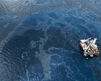 The immediate aftermath of an oil spill