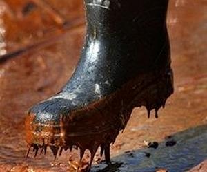 BP well may be capped, but oil's damage is far from over