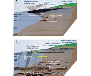 NCEAS researchers offer new ecological model for deep-water oil spills