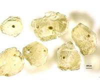Deep mantle chemistry surprise: Carbon content not uniform