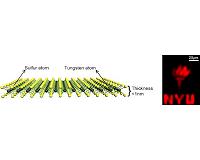 Nano-scale electronics score laboratory victory