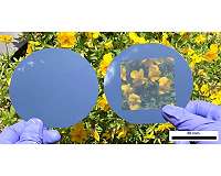 Punching holes in opaque solar cells turns them transparent