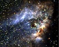 No close partner for young, massive stars in Omega Nebula