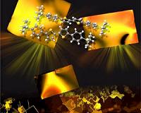 Organic crystals allow creating flexible electronic devices