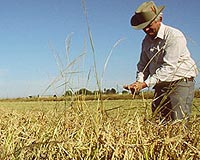 Organic food not healthier, says British study