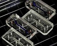 New technology platform propels the use of 'organs-on-chips'