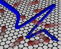 Graphene electrons share the heat