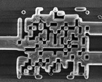 Computing at the speed of light