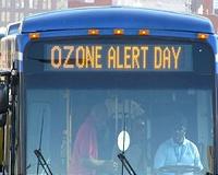 Future air quality could put plants and people at risk