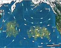 Oceans laden with 269,000 tons of plastic: study