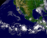 Complex Ocean Behavior Studied With Artificial Upwelling