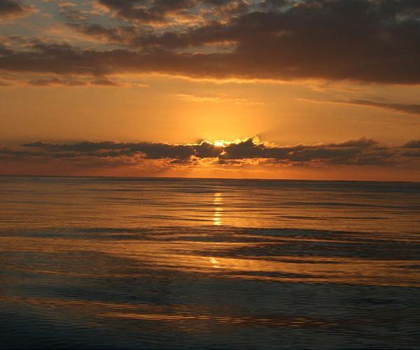 Thin cool ocean surface enhances carbon absorption