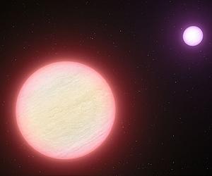 A Very Cool Pair Of Brown Dwarfs
