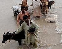 Heavy rain and floods kill 13 in Pakistan: officials