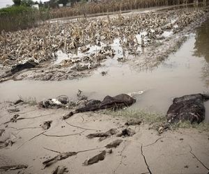 Pakistan's 'image deficit' hurts funds appeal: aid workers
