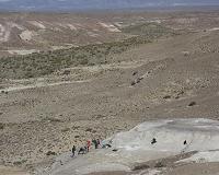 Patagonian fossil leaves reveal rapid recovery from dinosaur extinction event