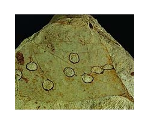 Dire climate warning locked in ancient rocks