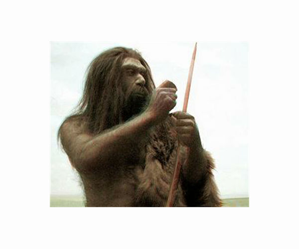 Pace of prehistoric human innovation could be revealed by 'linguistic thermometer'