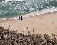 Gaza boy swimmer death puts spotlight on pollution crisis