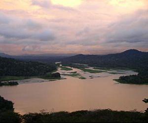 Tropical forests mitigate extreme weather events